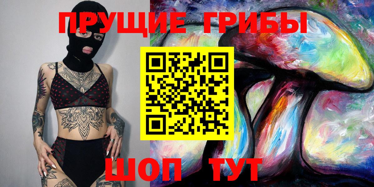 Галлюциногенные грибы Psilocybe Заволжье