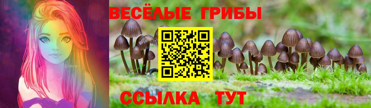 Галлюциногенные грибы Psilocybe  Вход с VPN  Заволжье 
